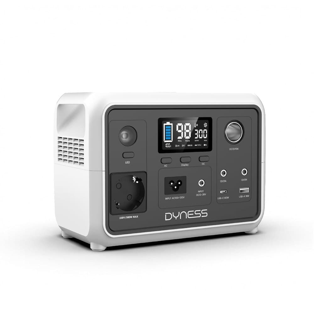 Dyness 300W Tragbares Powerstation, 256Wh AC-Steckdose LiFePO4 Batterie Solargenerator mit 6 Ausgängen & 4 Ladeoptionen, Notstrom für Camping, Wohnmobil, Reisen & Notfall